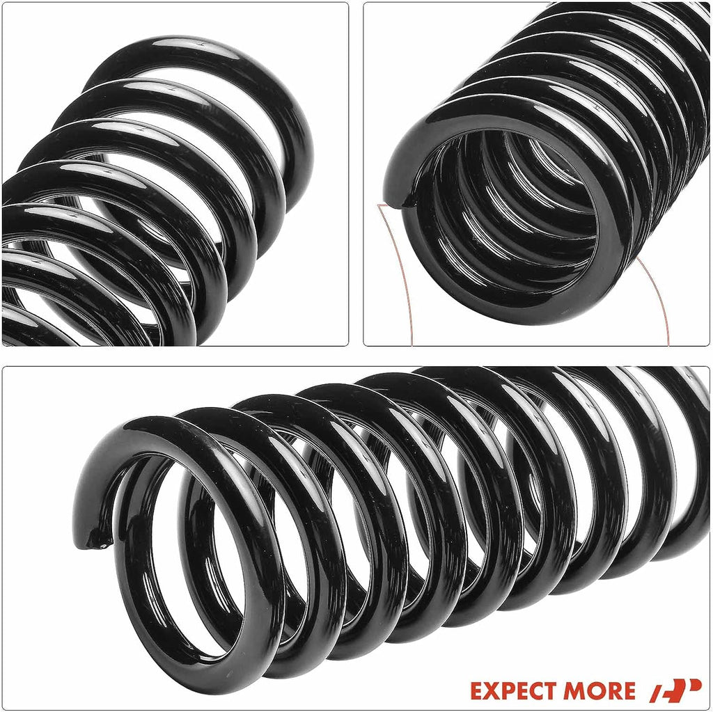 2Pcs Rear Left and Right Suspension Coil Spring Set N84149