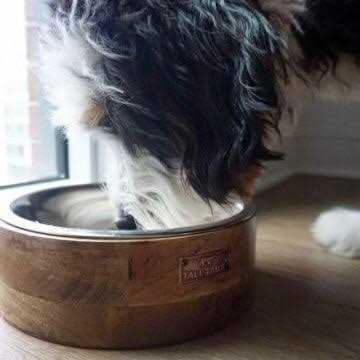 Wood Dog Bowl U885