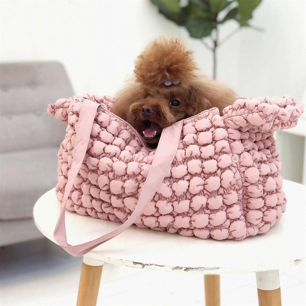 Pet Carrier A854844