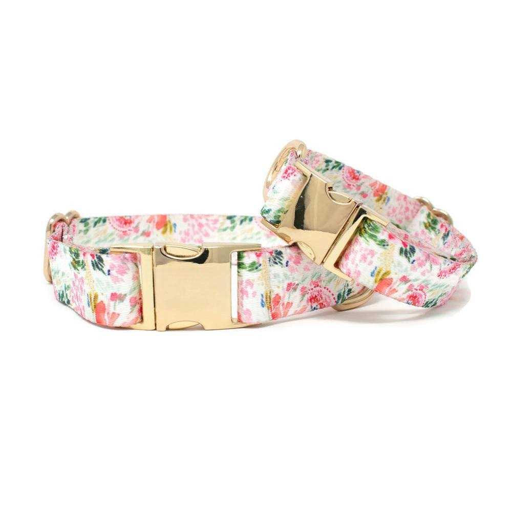 Pink Collar Q35291