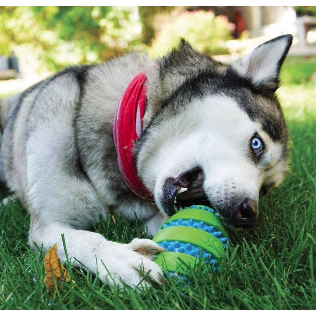 Football Dog Toy S815389