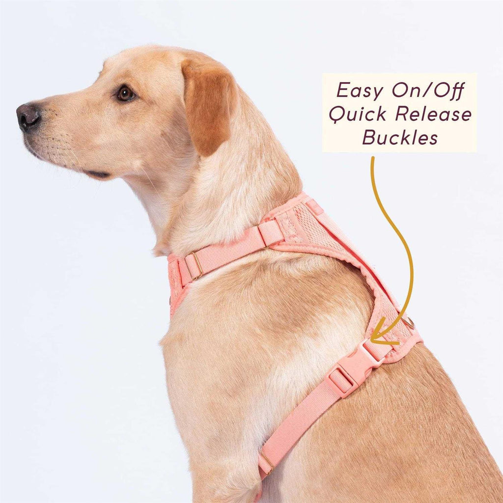 Pet Supplies J49275