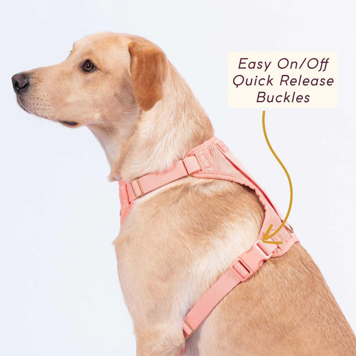 Pet Supplies J49275