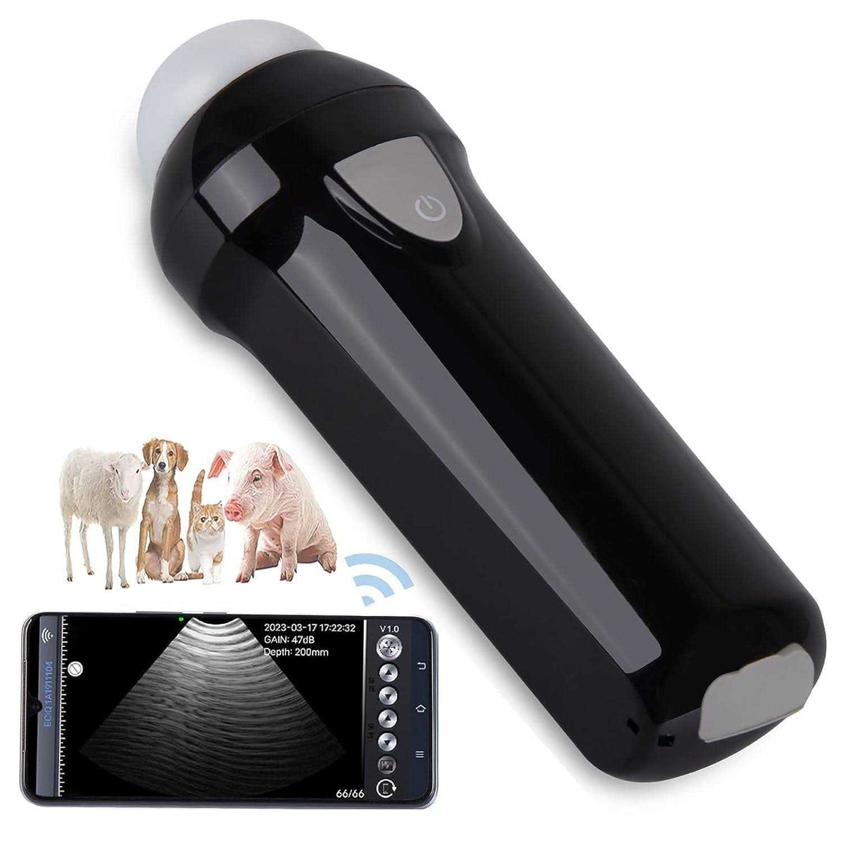 Wireless Portable Veterinary Ultrasound Scanner B4268