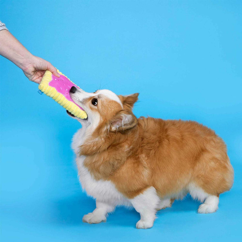 Toaster Pastry Dog Toy A46323