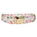 Pink Collar Q35291