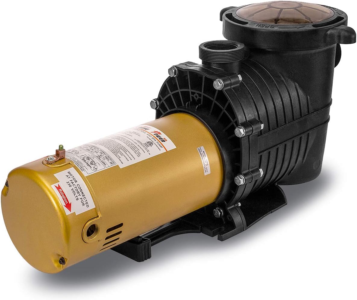 1.5HP Inground Pool Pump 5280GPH 1.5" NPT 220V Dual Speed X30267