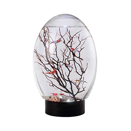 Black Mini Ecological Fish Tank with Led Base M333023