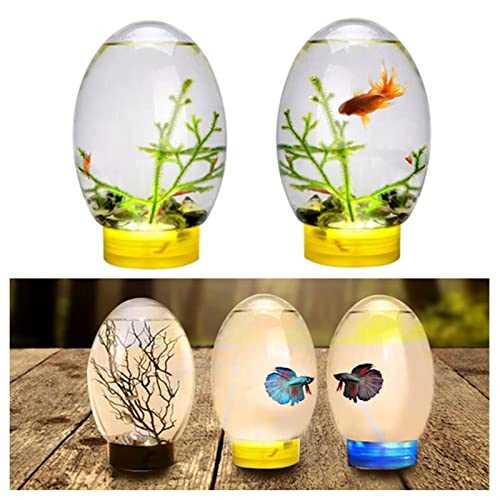 Black Mini Ecological Fish Tank with Led Base M333023