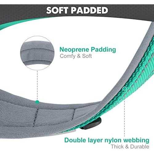 Reflective Neoprene Padded Nylon Adjustable Dog Collar V553029