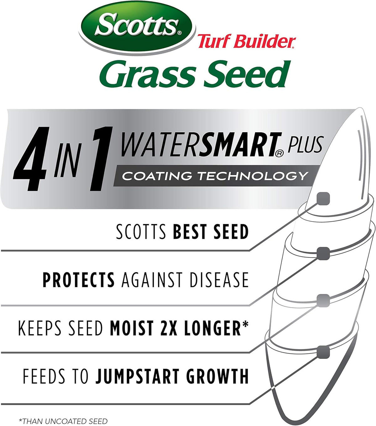 5 lbs. Bermudagrass Grass Seed L3478