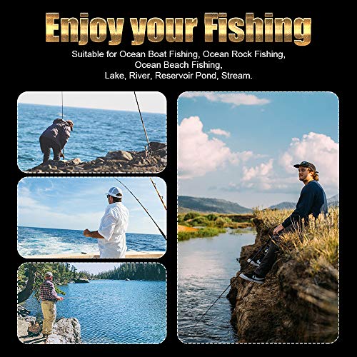 Ultralight Spinning Reel, 5.2:1 Gear Ratio, 12 Ball Bearings, Carbon Fiber Drag I7659