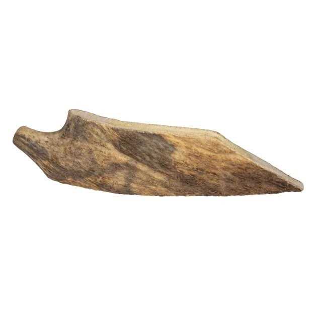Moose Antler Dog Chew C148