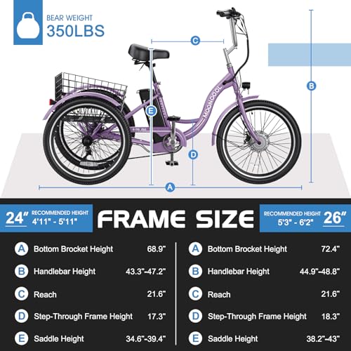 350W 36V 7 Speeds 3 Wheels Electric Tricycle with Large Basket C6341