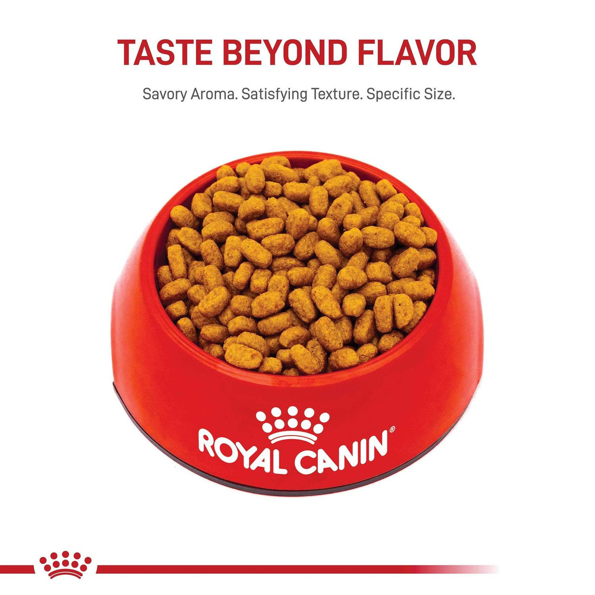 Adult Maltese Dry Dog Food T970