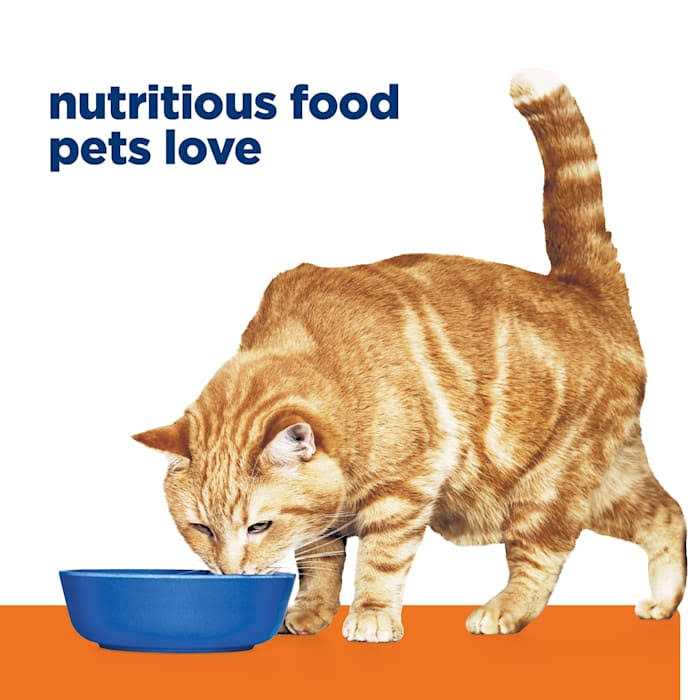 Ocean Fish Wet Cat Food I6560