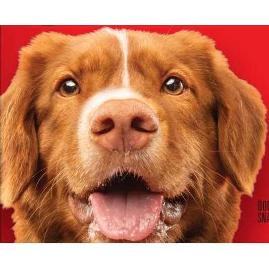Grain Free Dog H6036
