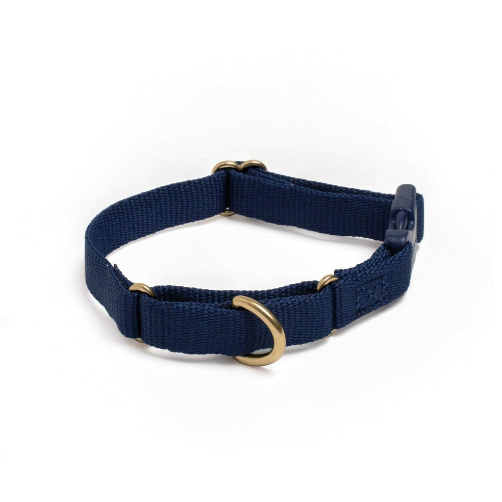 Martingale Dog Collar G157394