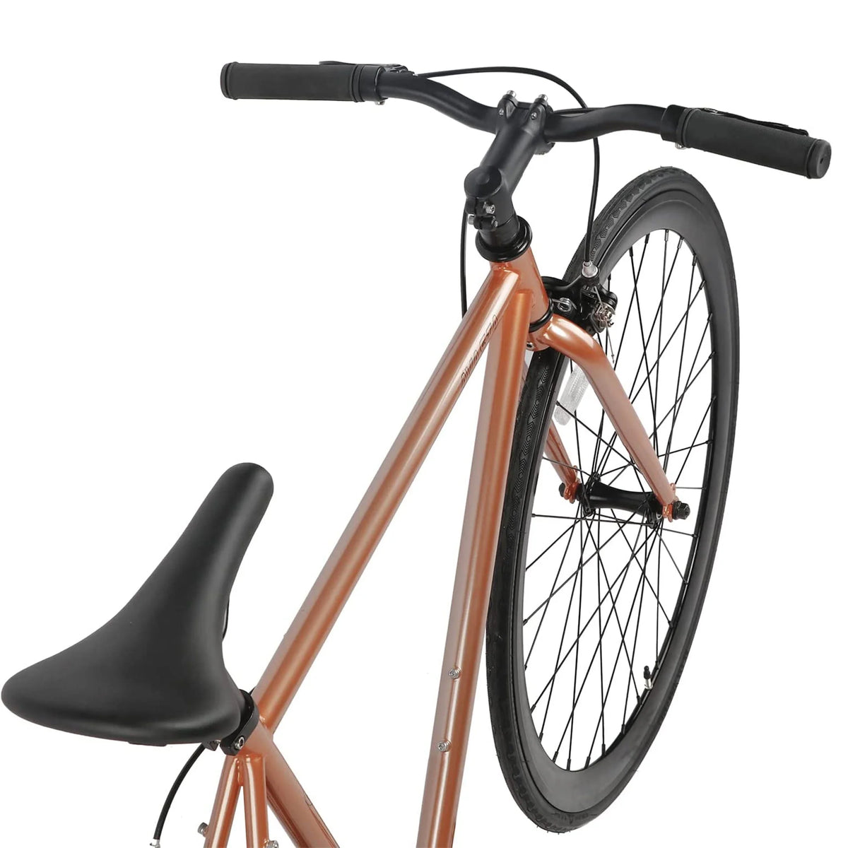 700C Single Speed Fixed Gear Bike P259