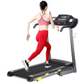 Folding Electric Treadmill with 3 Level Incline F543282
