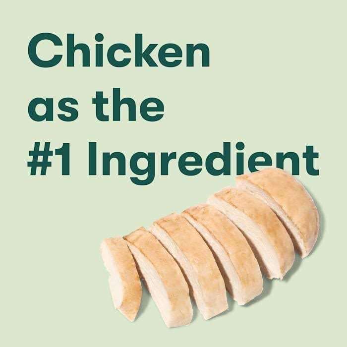 All Natural Chicken Flavor Jerky Bites for Dogs N81570