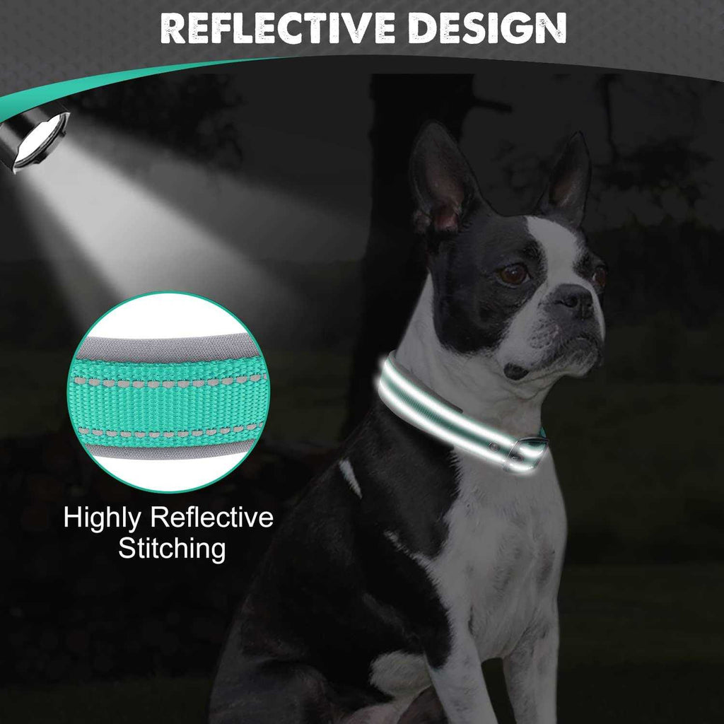 Reflective Neoprene Padded Nylon Adjustable Dog Collar V553029