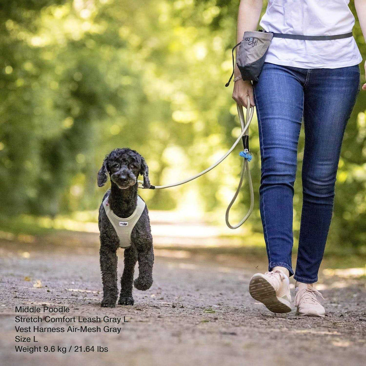 Stretch Comfort Leash C2996