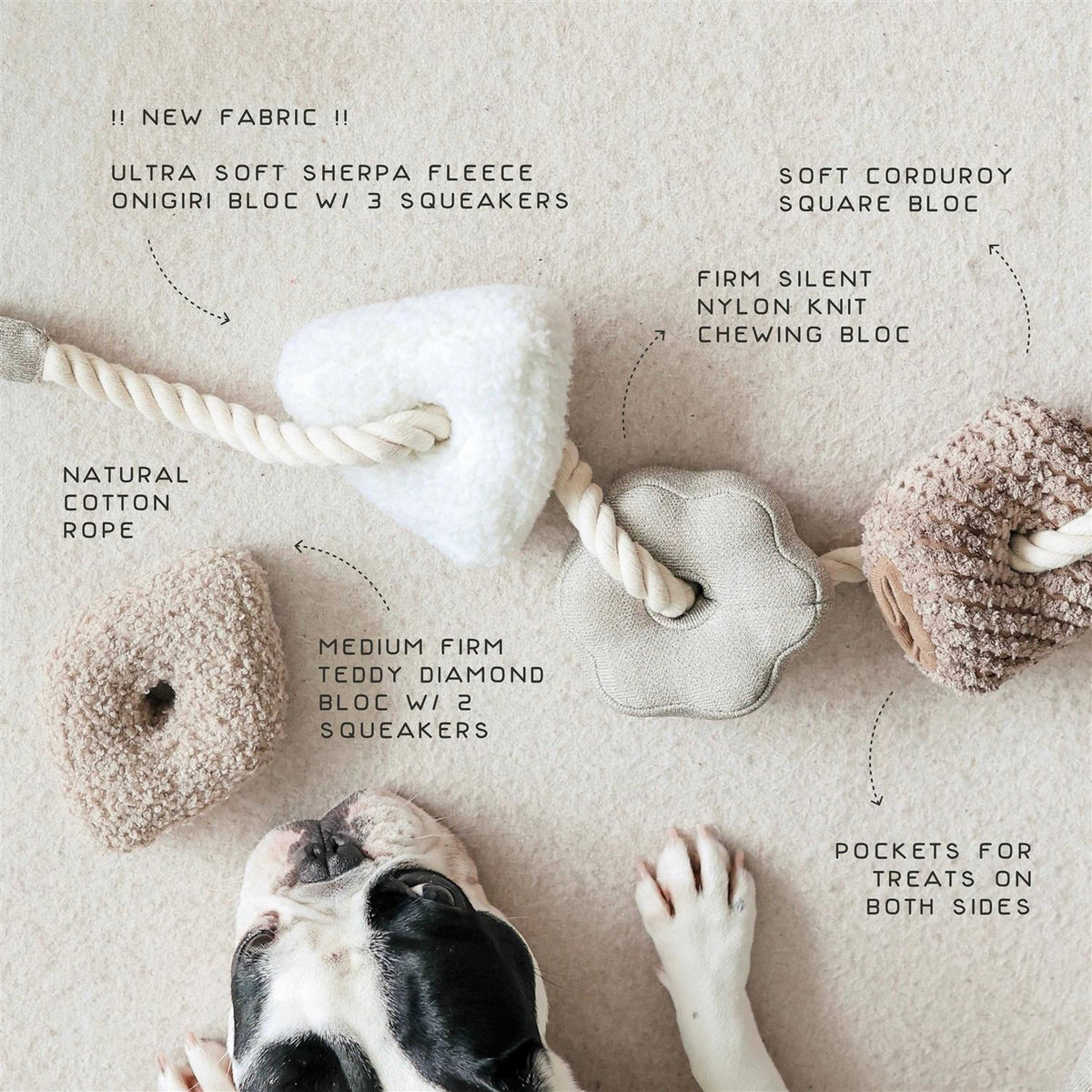 Enrichment Dog Toy B23778