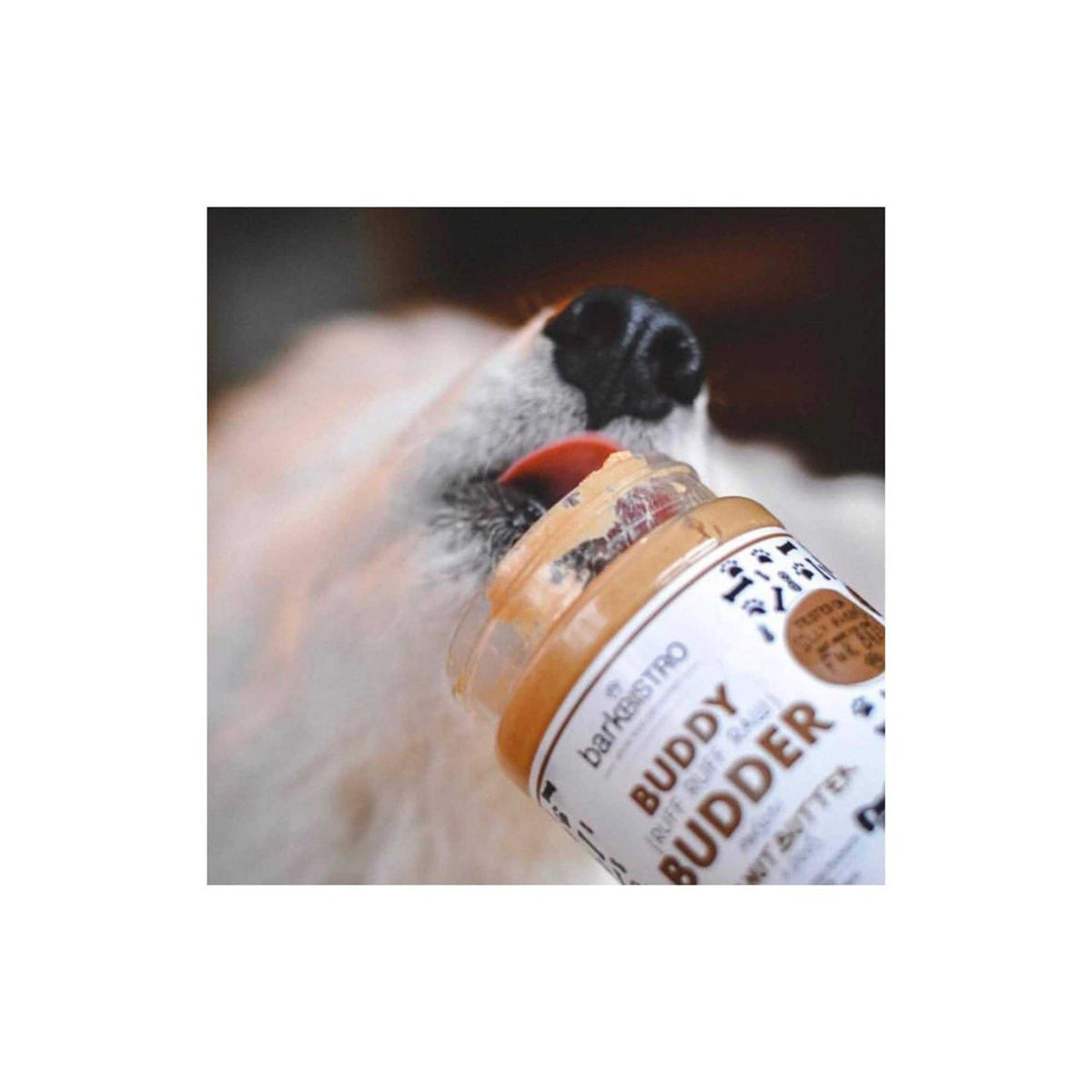 Peanut Butter Pet Supplies P482