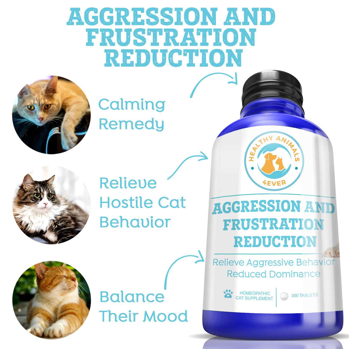 Aggression and Frustration Reduction G5301