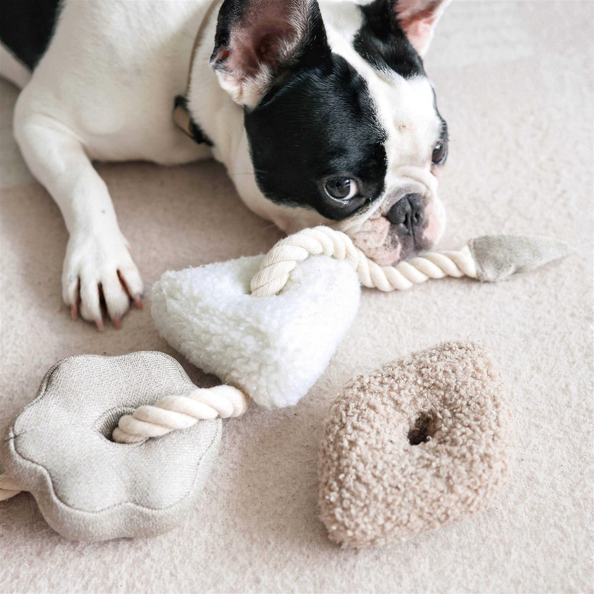 Enrichment Dog Toy B23778