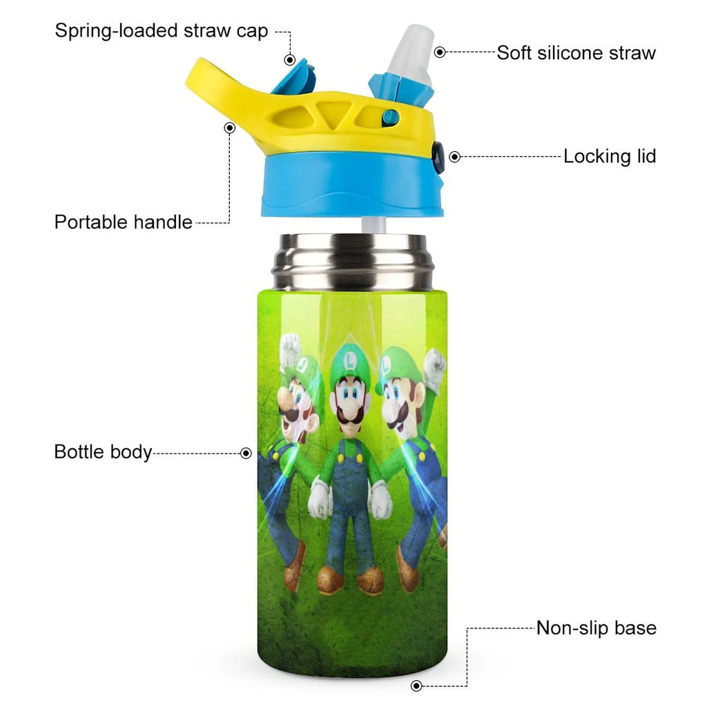 Insulated Stainless Steel Water Bottle with Straw H174384