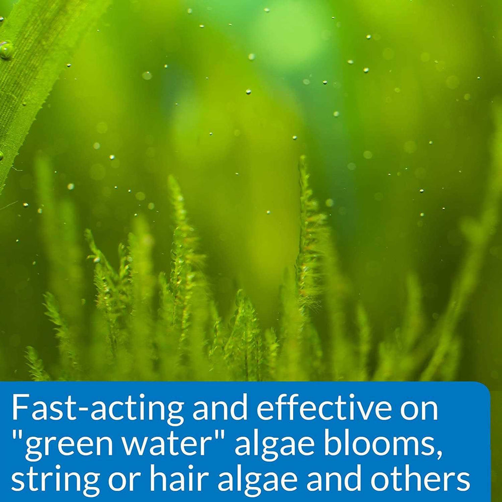 AlgaeFix X422520