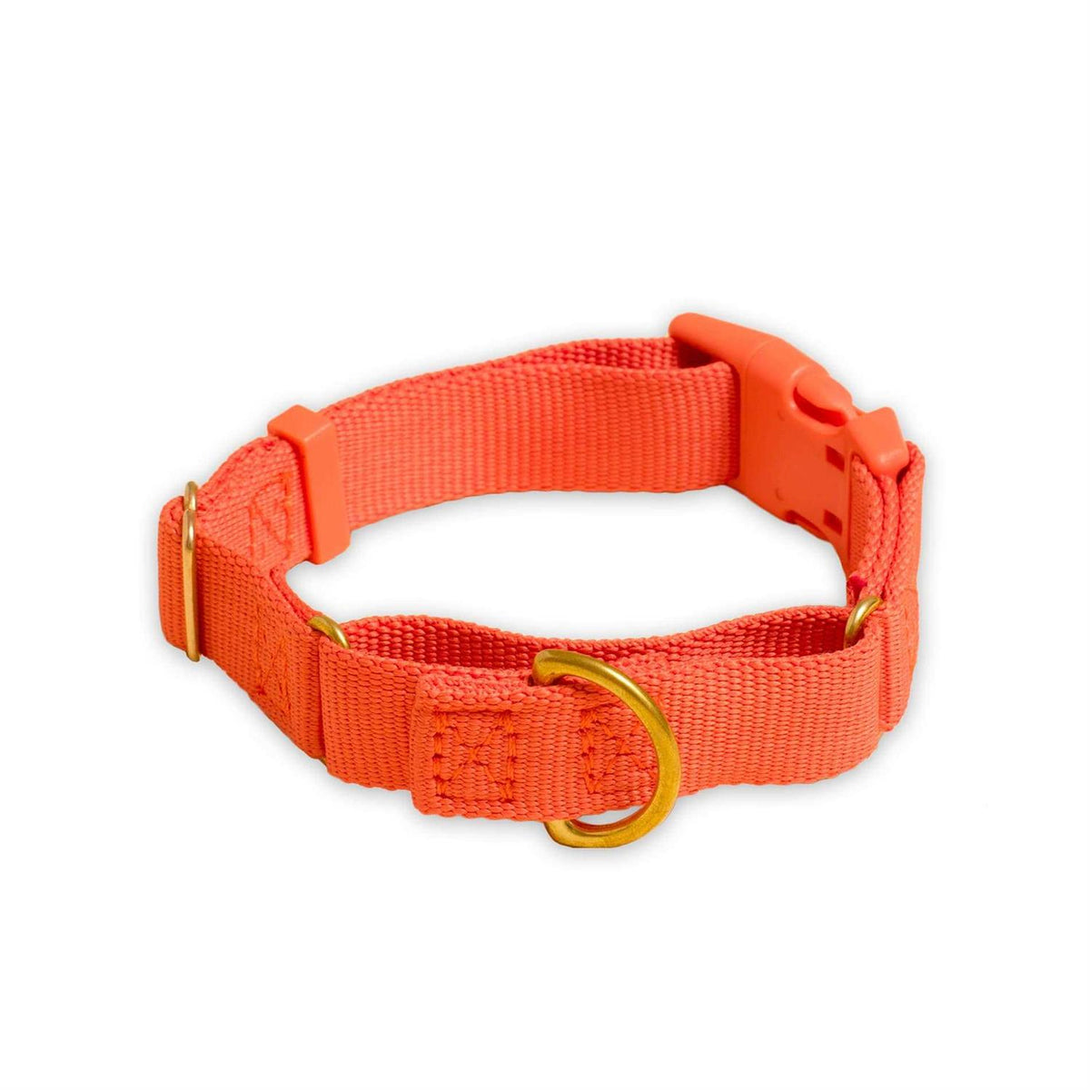 Martingale Dog Collar G157394
