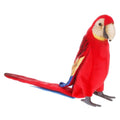 Scarlet Plush Macaw N5557