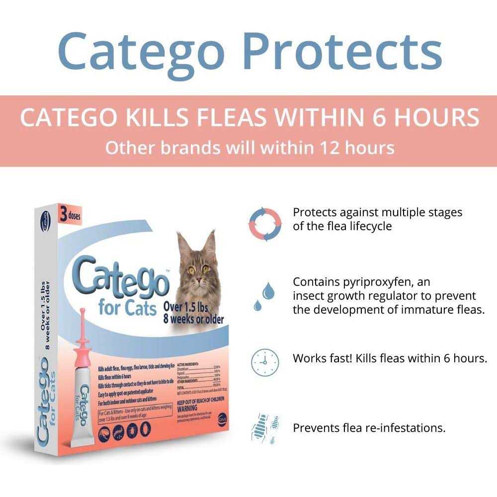 Flea & Tick Treatment for Cats C499
