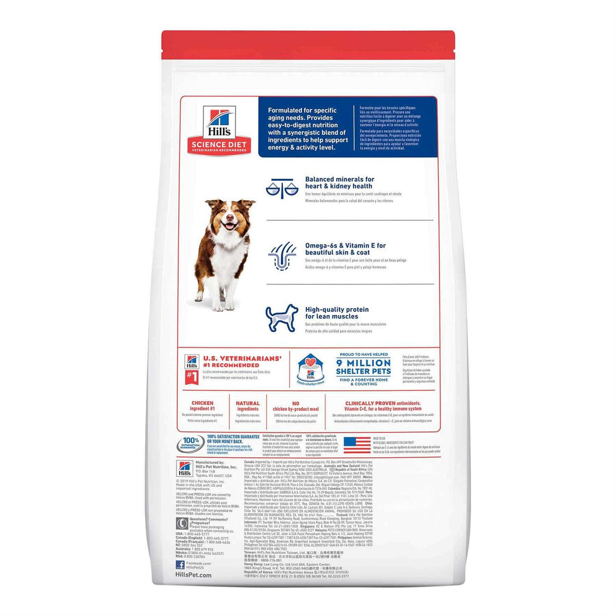 Chicken Adult 7+ Dog Food P618674