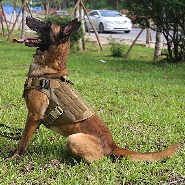 2X Metal Buckle Tactical Dog Harness with Handle N347