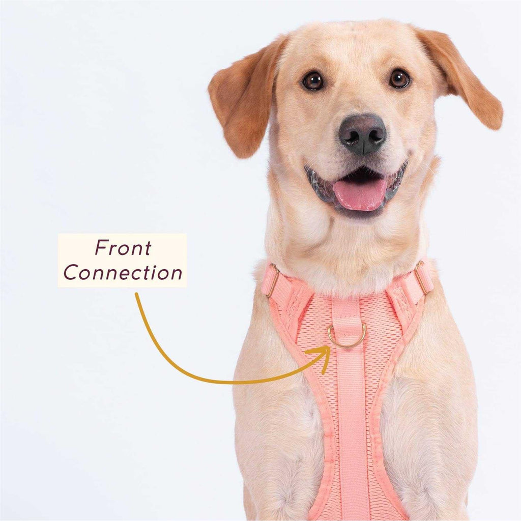 Pet Supplies J49275