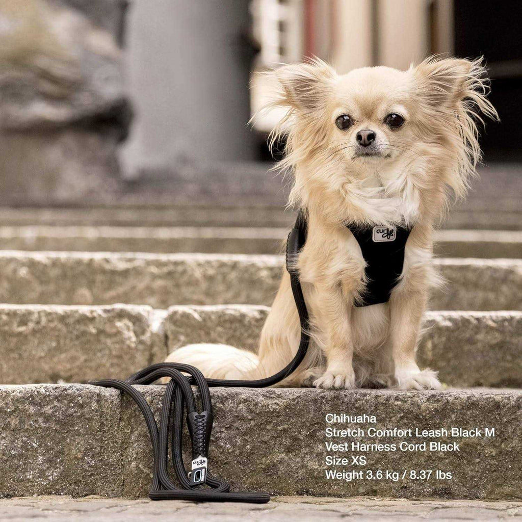 Stretch Comfort Leash C2996