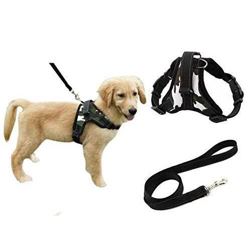 Adjustable Reflective No-Pull Padded Dog Harness with Leash Set L205270