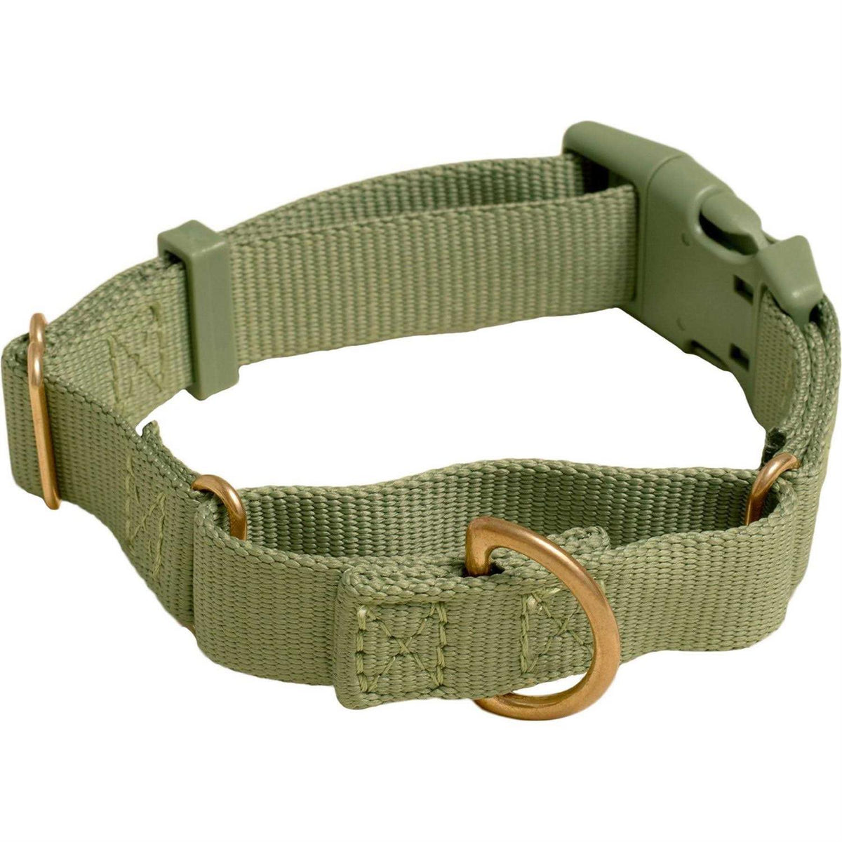 Martingale Dog Collar G157394