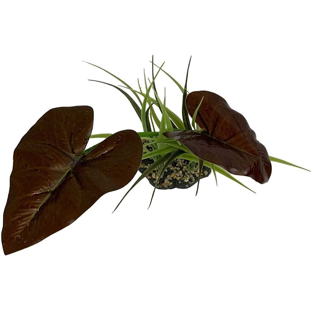 Canopy Plant M999
