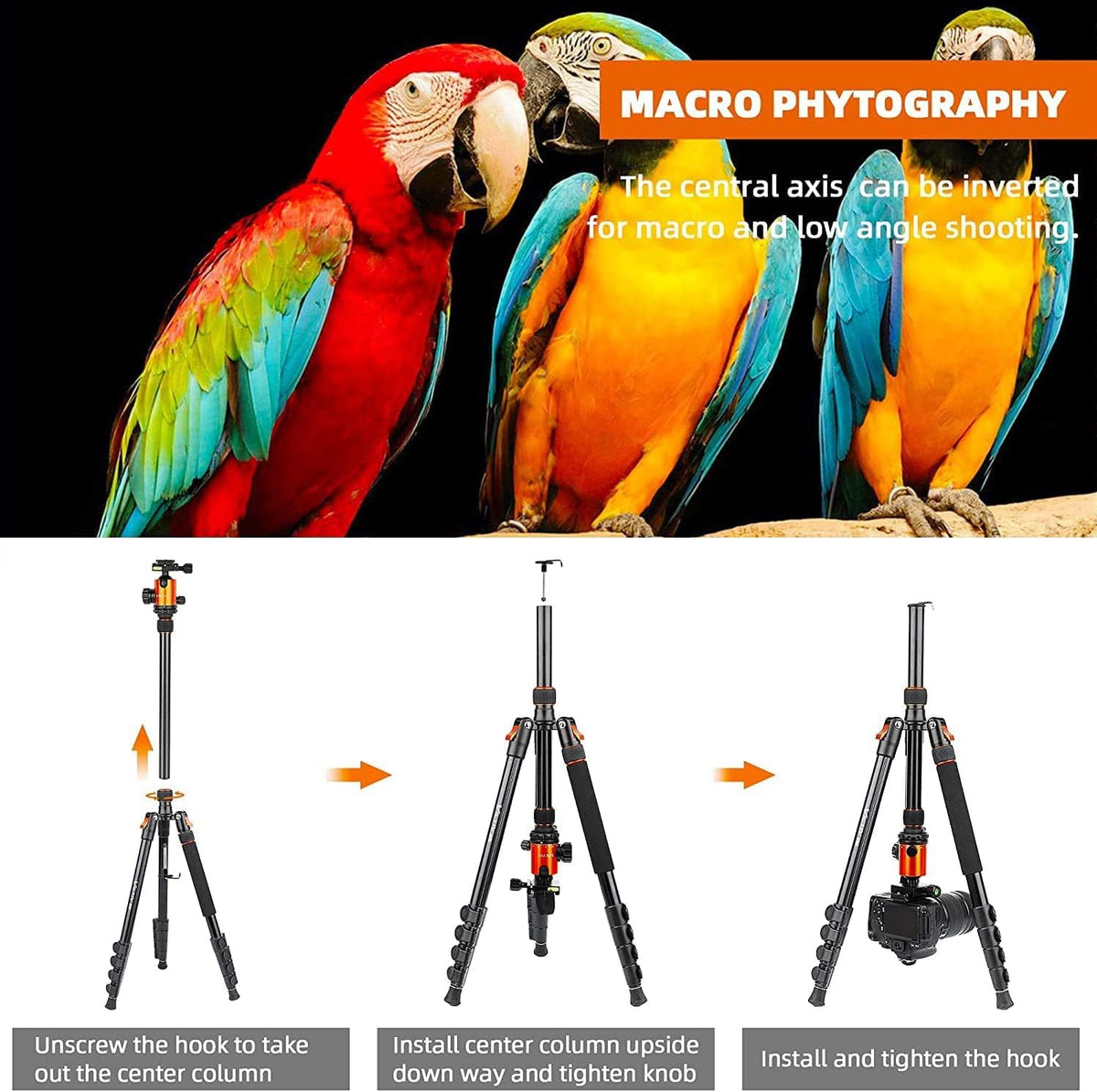 Aluminum Tripod with 360 Degree Ball Head X448921