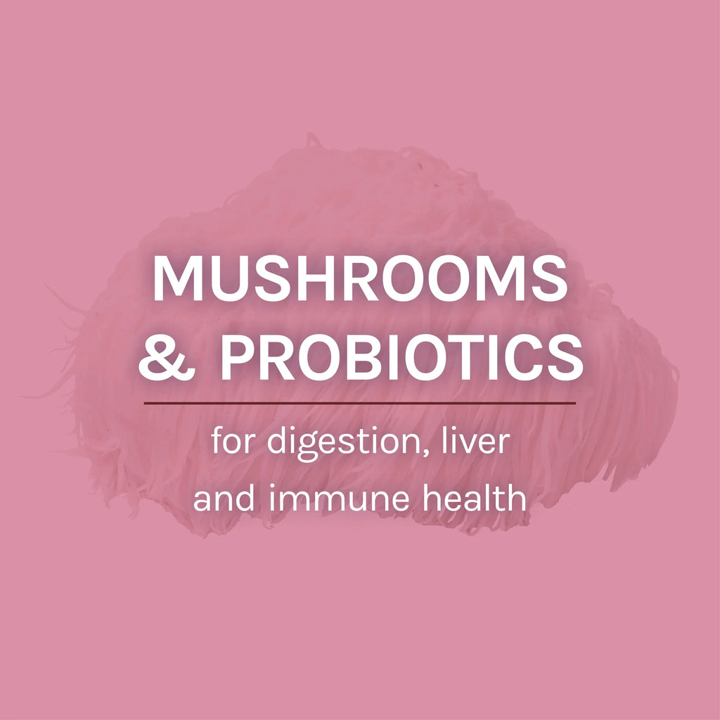 MycoBotanicals Microbiome Powder 3.5 oz E808