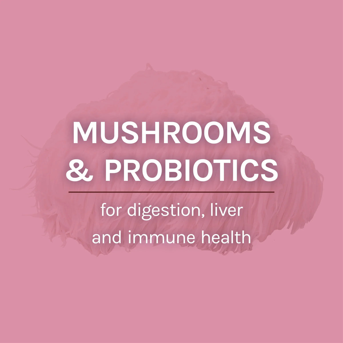 MycoBotanicals Microbiome Powder 3.5 oz E808