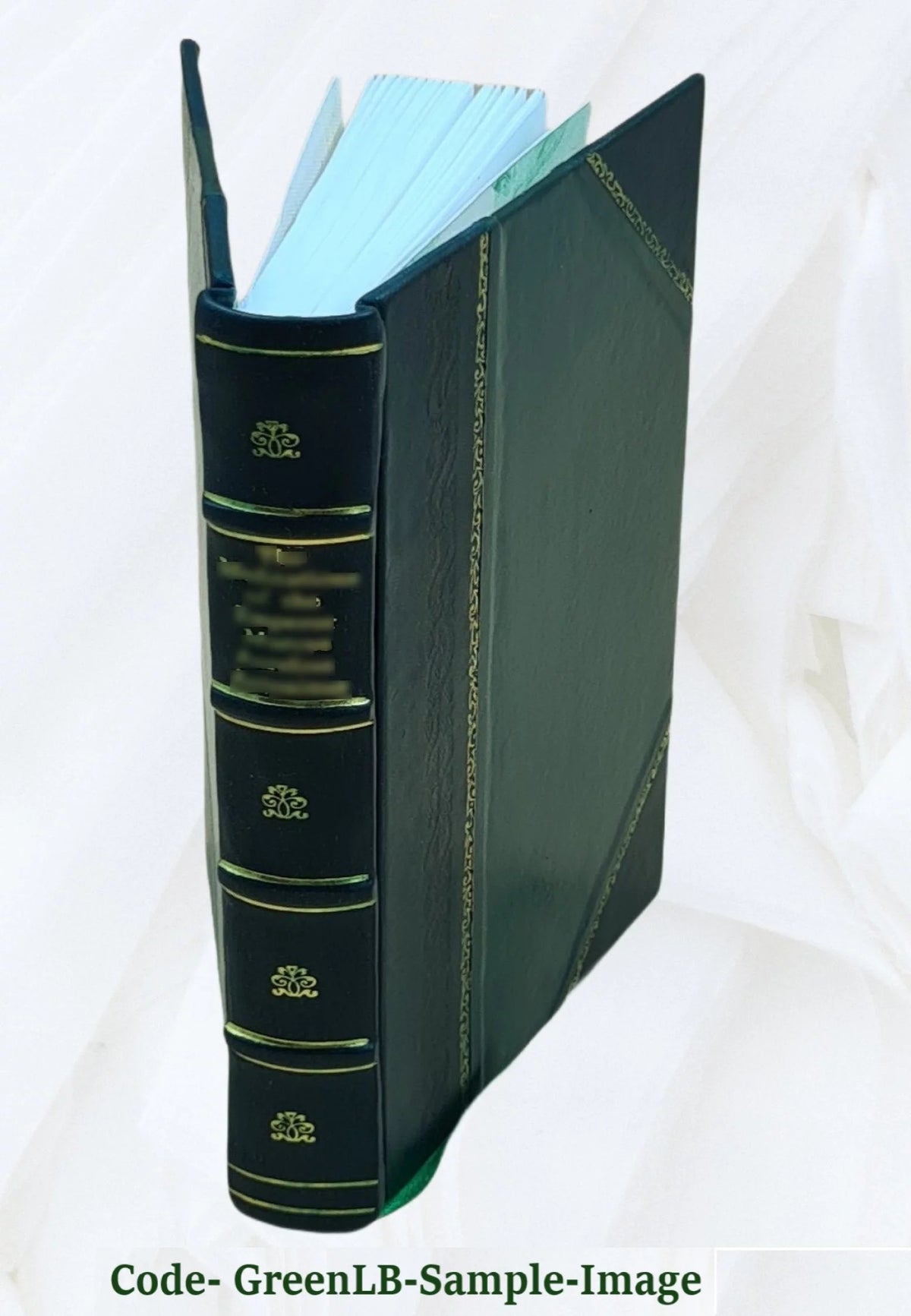 Leather Bound E2483