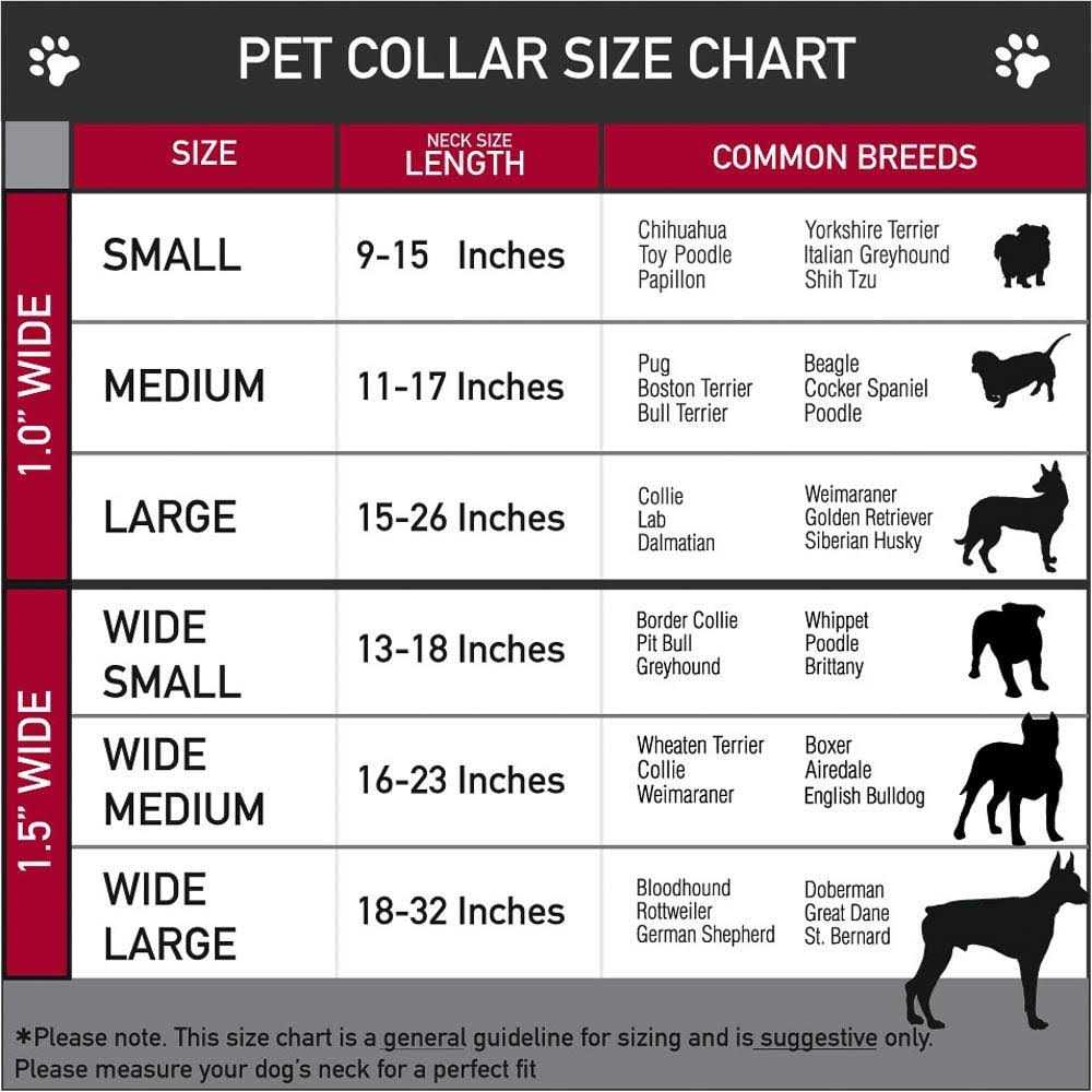 Dog Collar H82608