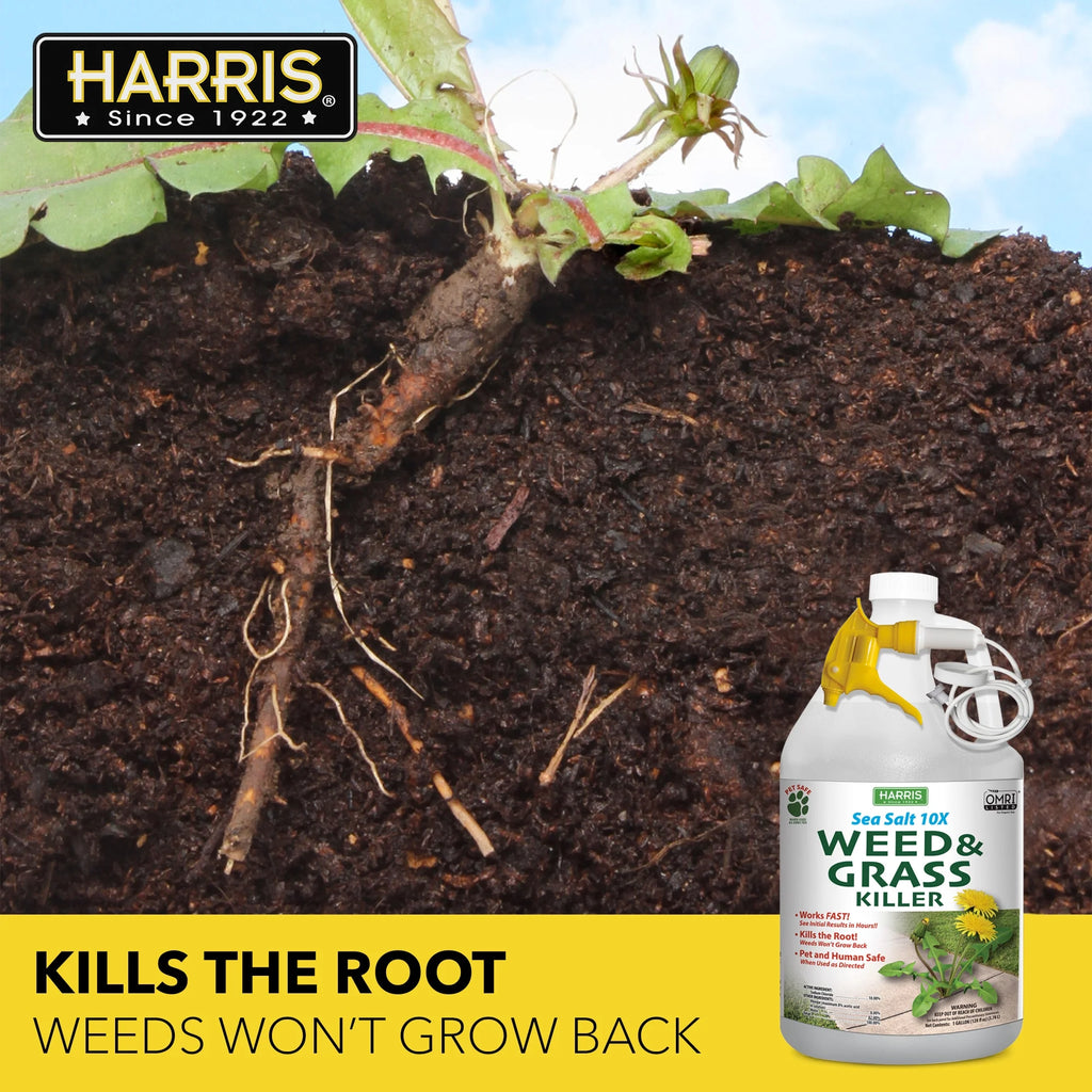 Sea Salt Weed & Grass Killer 128 oz Z60492