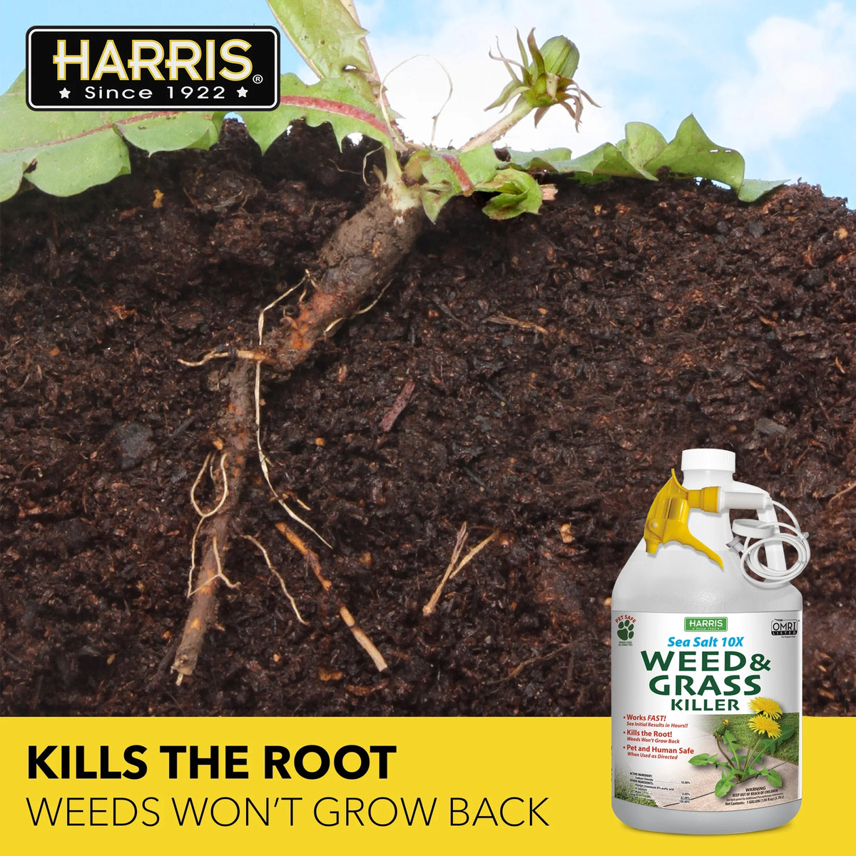 Sea Salt Weed & Grass Killer 128 oz Z60492